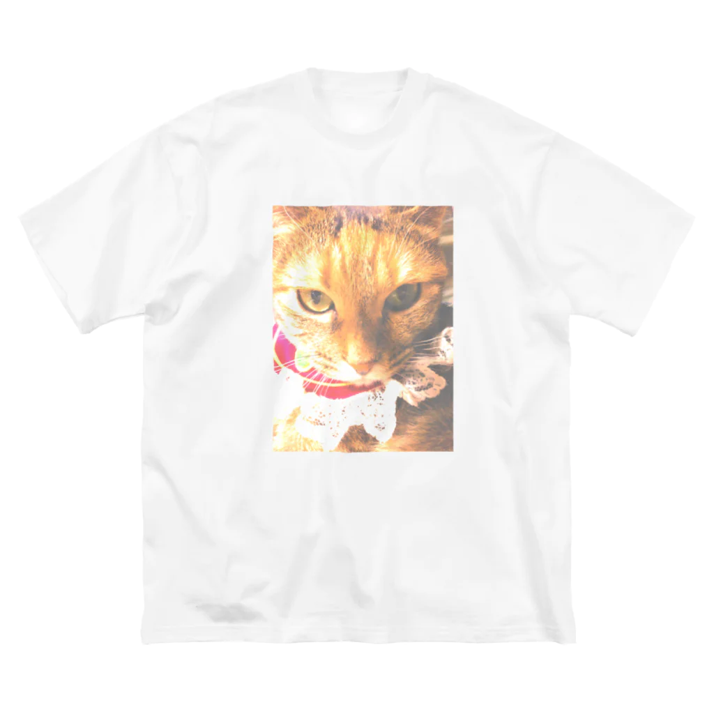 猫雑貨さんちこの猫プリンちゃん（姫） Big T-Shirt
