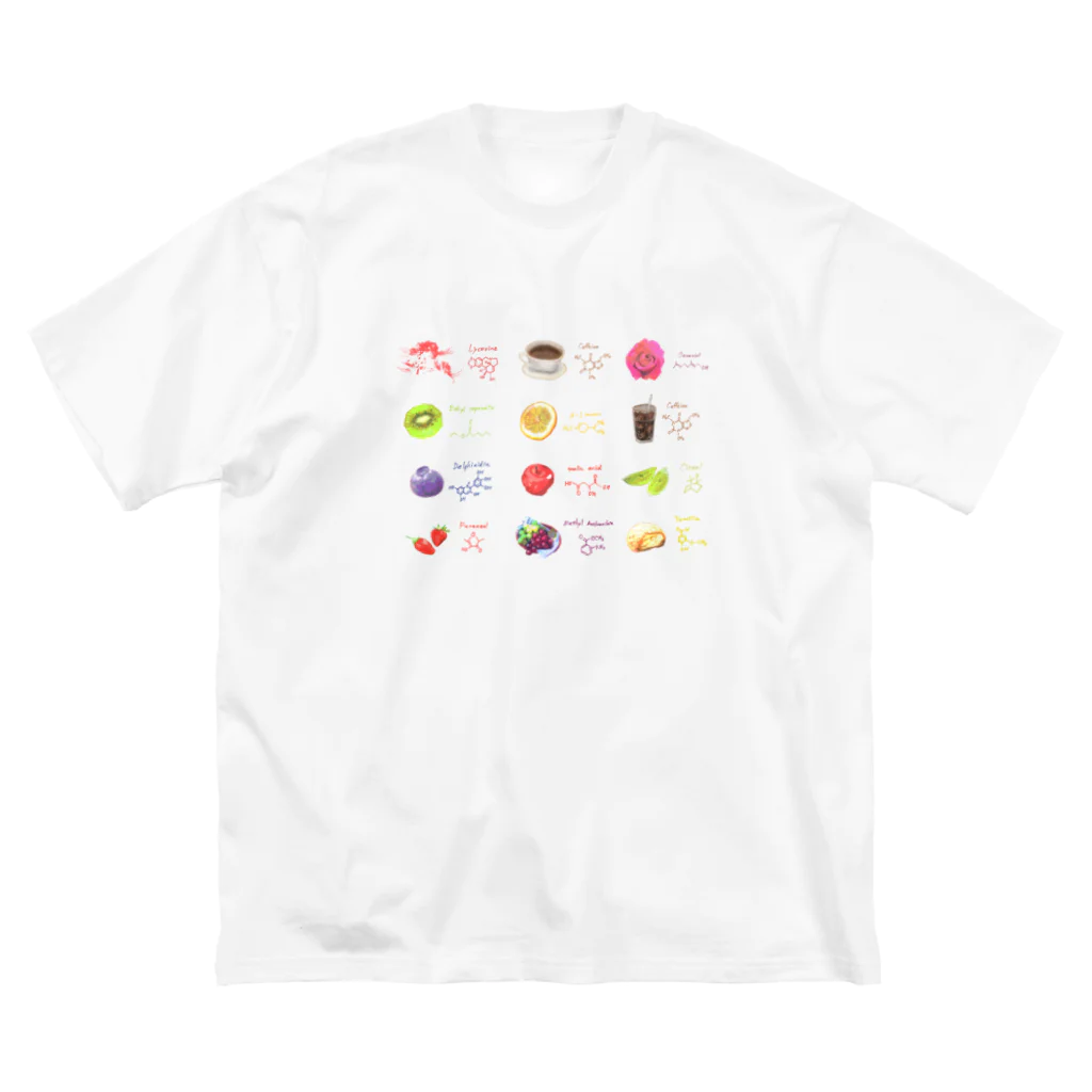 そらまめのいろいろな分子 Big T-Shirt