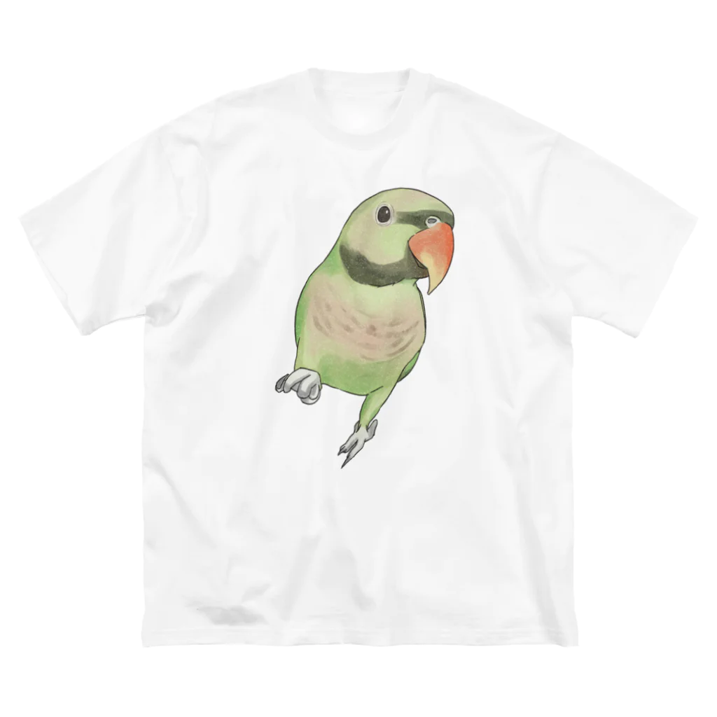 まめるりはことりのご機嫌なダルマインコちゃん【まめるりはことり】 Big T-Shirt