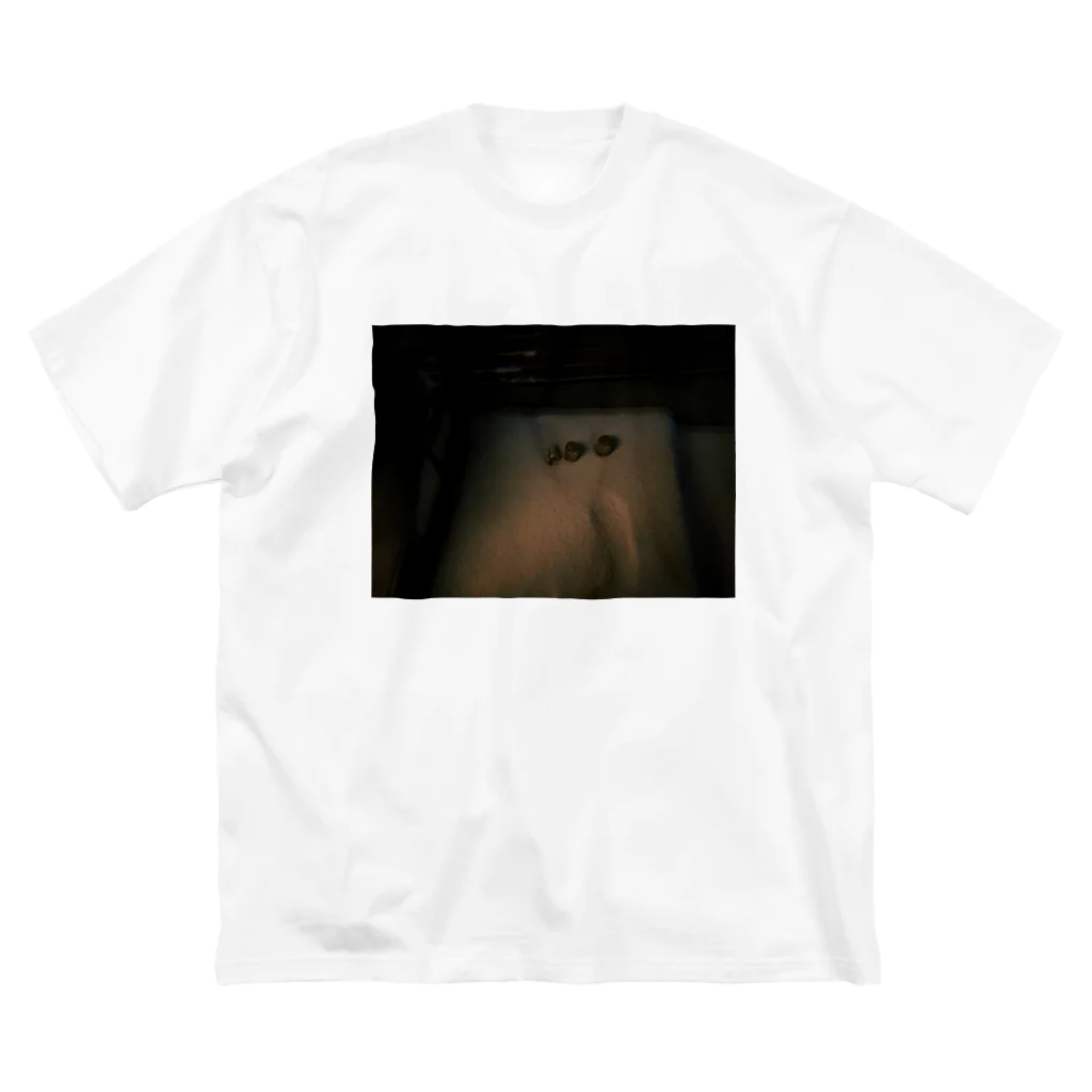 ま、の冬の田舎の冷蔵庫 Big T-Shirt