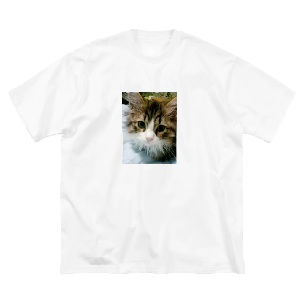 capricornusのふぇーちゃん Big T-Shirt