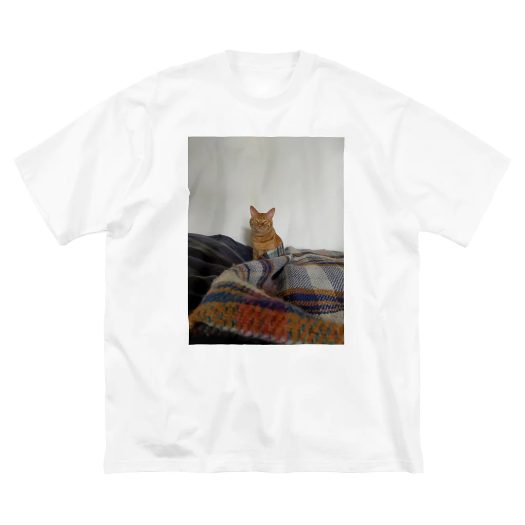 ごま猫の店の起きたけどねむいごま ビッグシルエットTシャツ