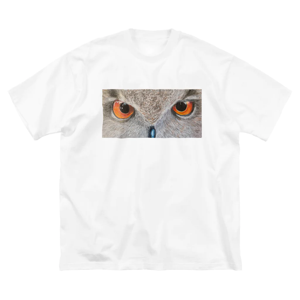 にゃんこ亀のフクロウとにらめっこ Big T-Shirt