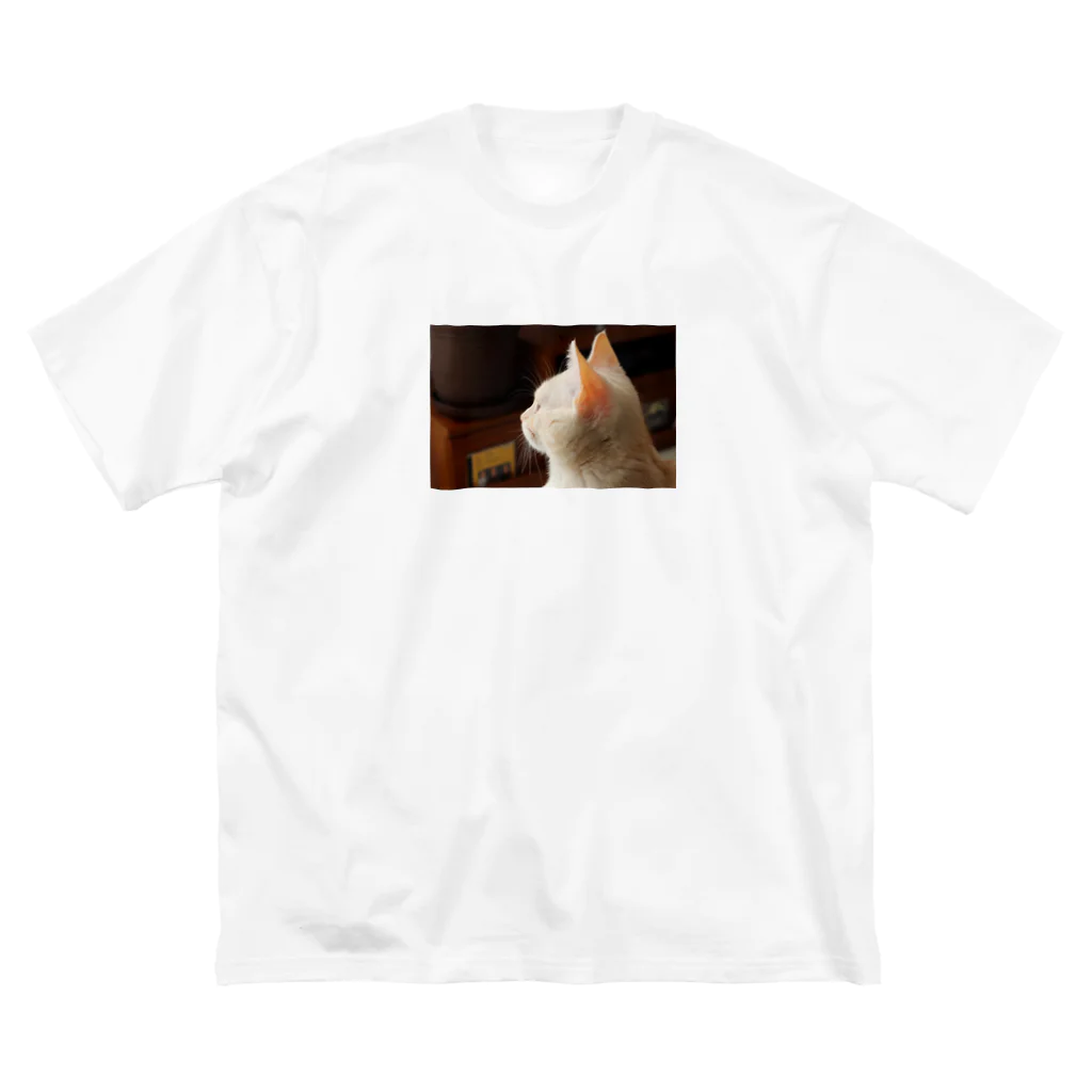 Arteのアンテナぴんぴんねこ ビッグシルエットTシャツ