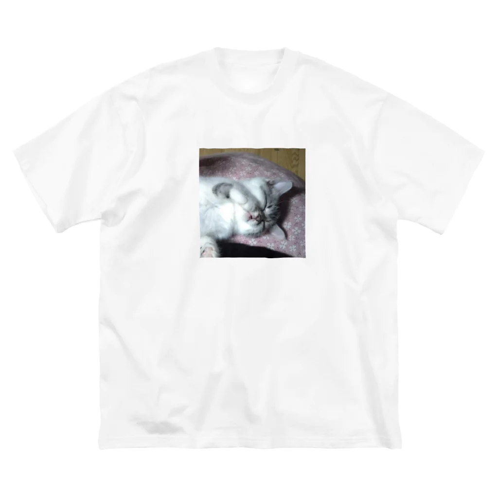 みーのお部屋 のおねむの時間 猫の音羽ちゃん ビッグシルエットTシャツ