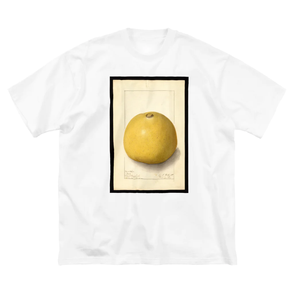 ArtShirtのAegle marmelos  Big T-Shirt