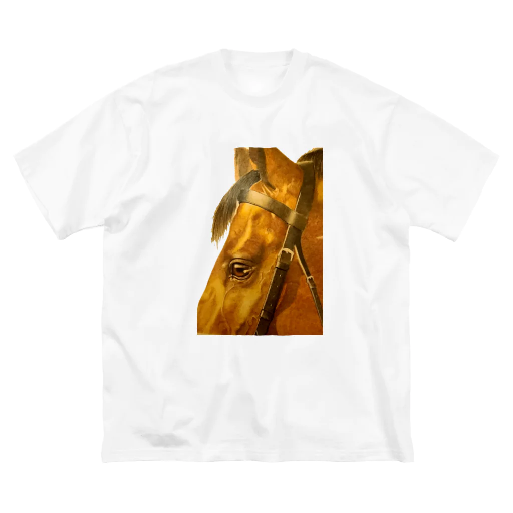 にゃんこ亀のお馬さん Big T-Shirt