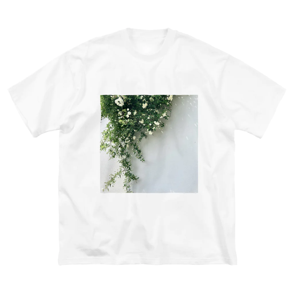 ampluieの木香薔薇 ビッグシルエットTシャツ