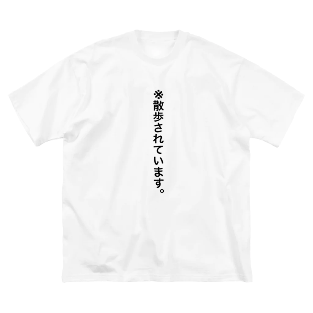 もちおの散歩されています ビッグシルエットTシャツ