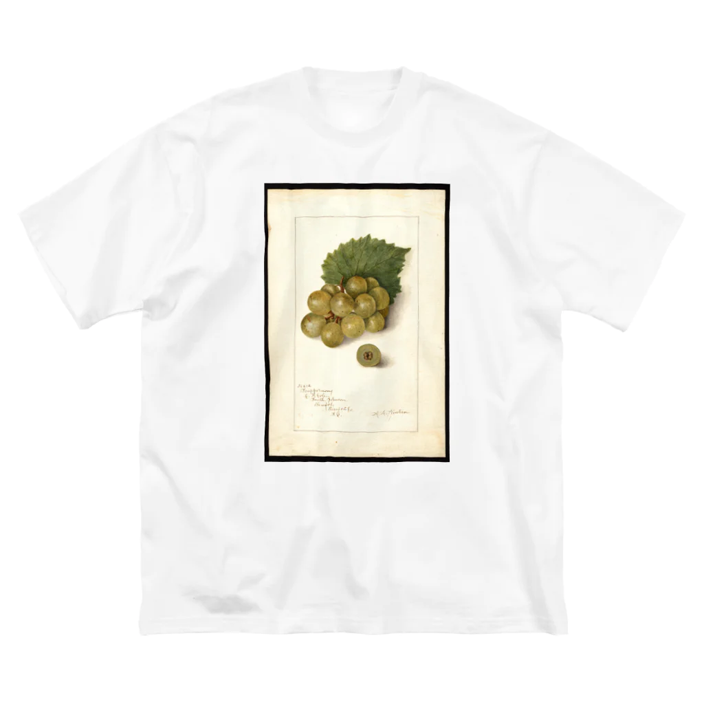 ArtShirtのScuppernong  ビッグシルエットTシャツ