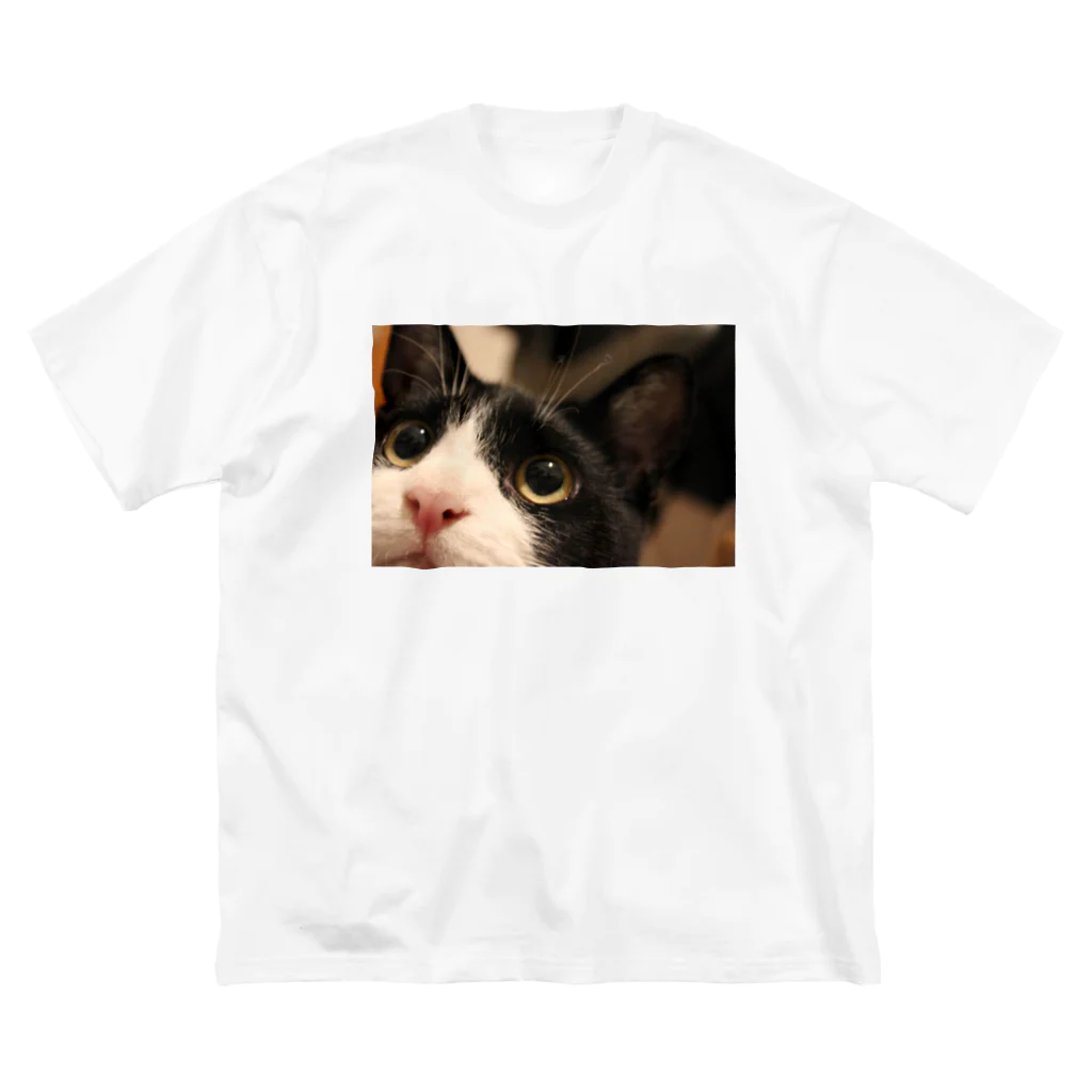 ねこの下僕のぶうちゃん ビッグシルエットTシャツ