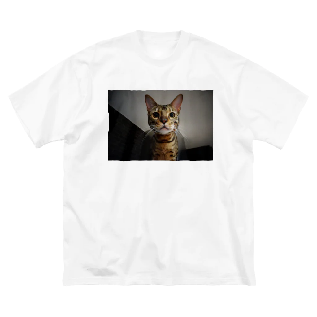 catとdogのBengal猫7 ビッグシルエットTシャツ