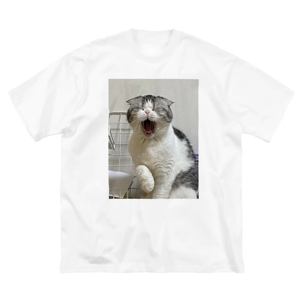 No Cats No LifeのMee3 ビッグシルエットTシャツ