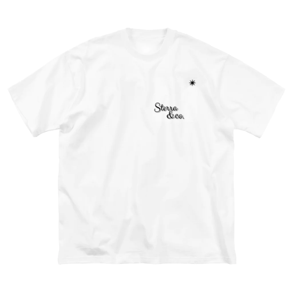 Sterra&co．アイテム販売のSterra&co． ビッグシルエットTシャツ