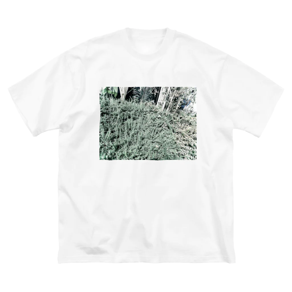 とろろ∞☺︎のplants Big T-Shirt