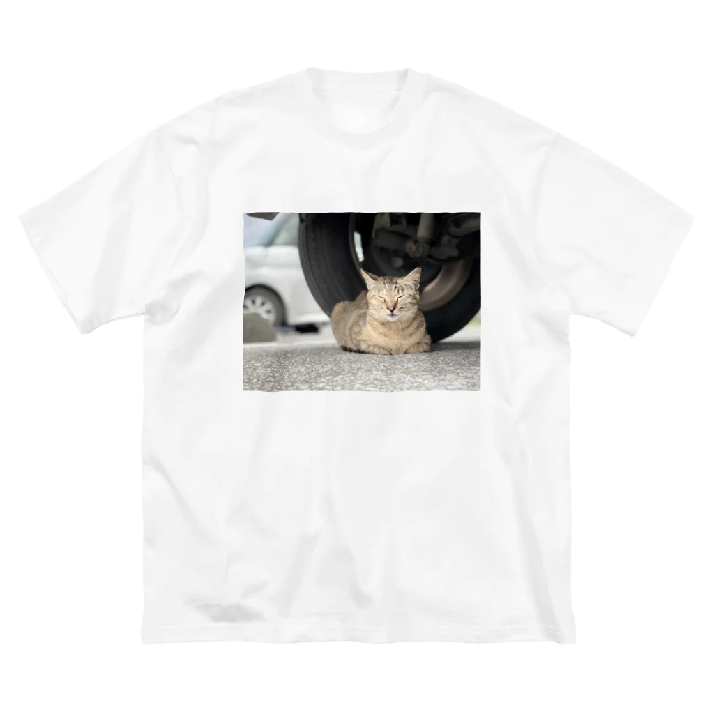 shirado_kazukiの猫のひとやすみ ビッグシルエットTシャツ