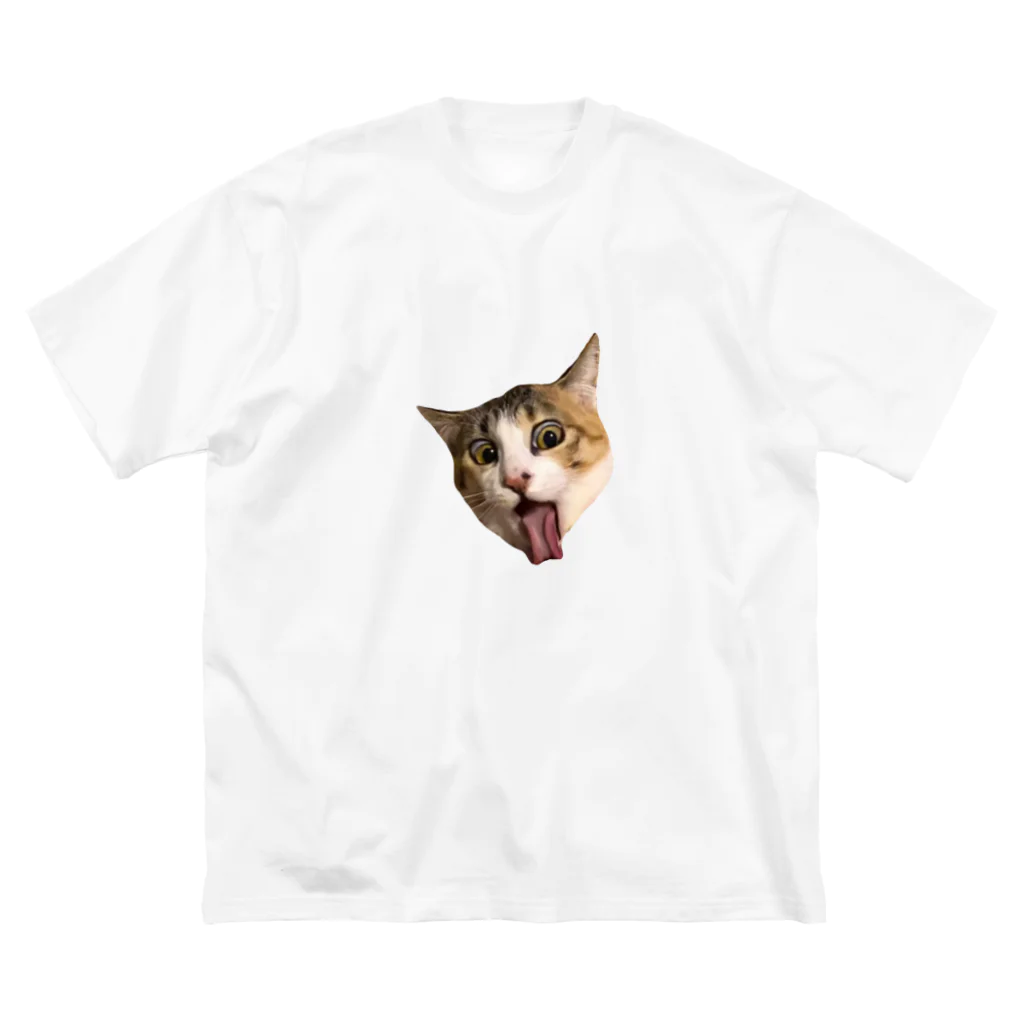 ぺんAgのアインシュタインﾈｺﾁｬﾝ【猫】 ビッグシルエットTシャツ