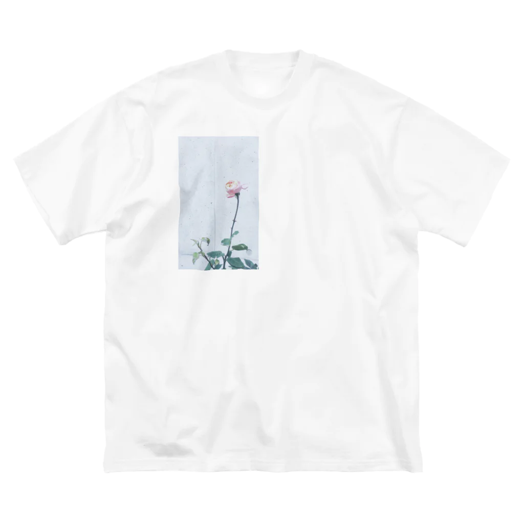 なにげに光の棘とか芽とか ビッグシルエットTシャツ