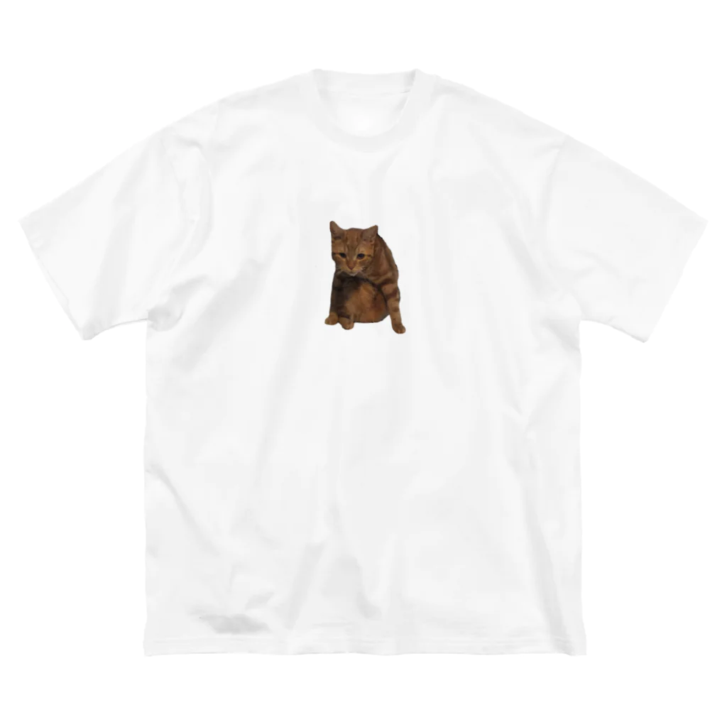 janximmのみりん3 Big T-Shirt