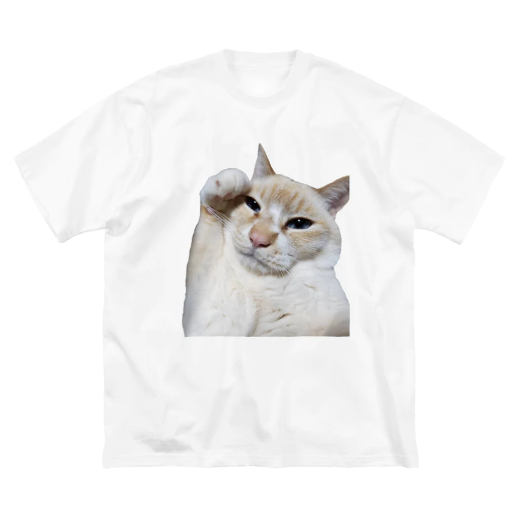 もっちりねこのもっちりねこ はーい Big T-Shirt