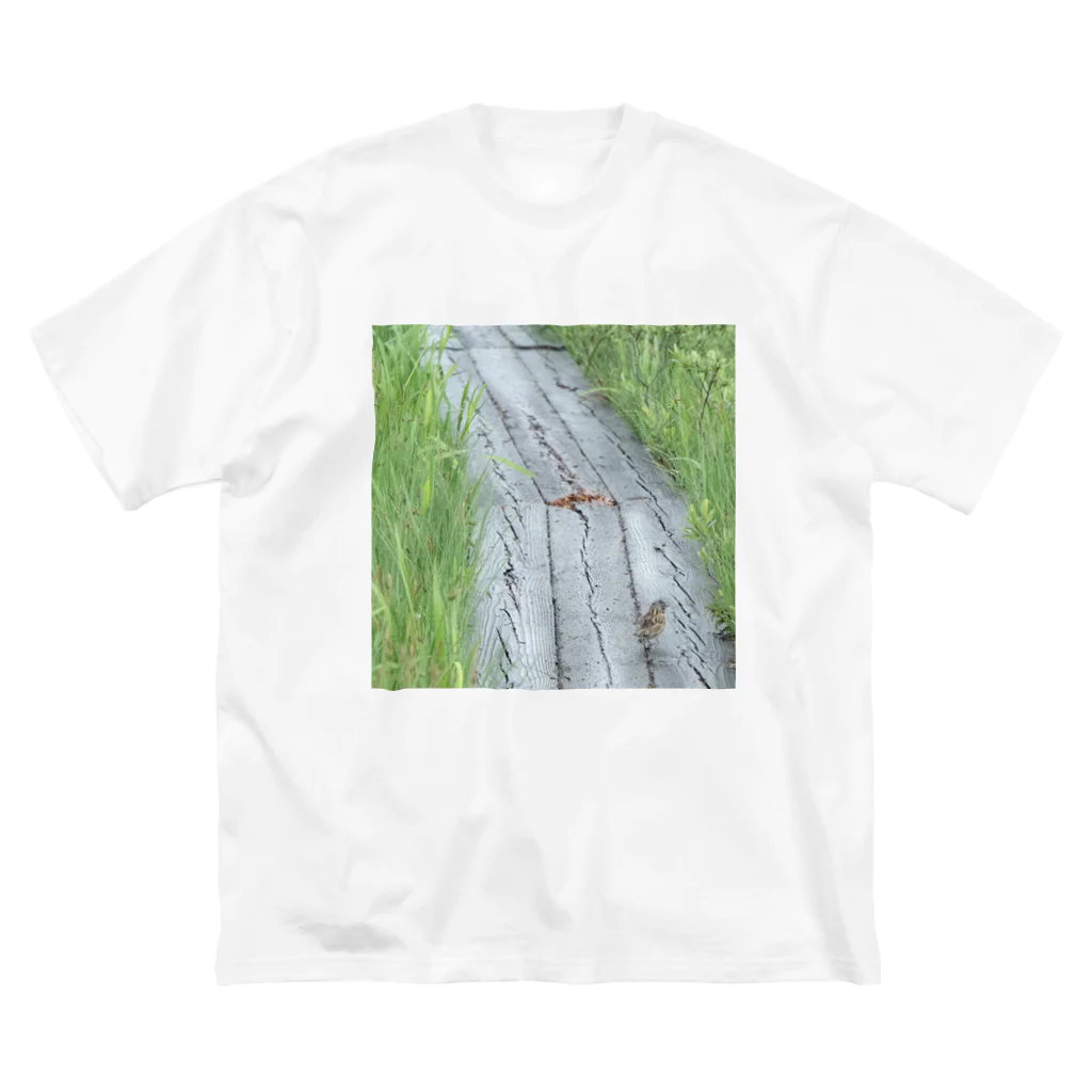 asako=niagaraのホオアカの寄り道② ビッグシルエットTシャツ