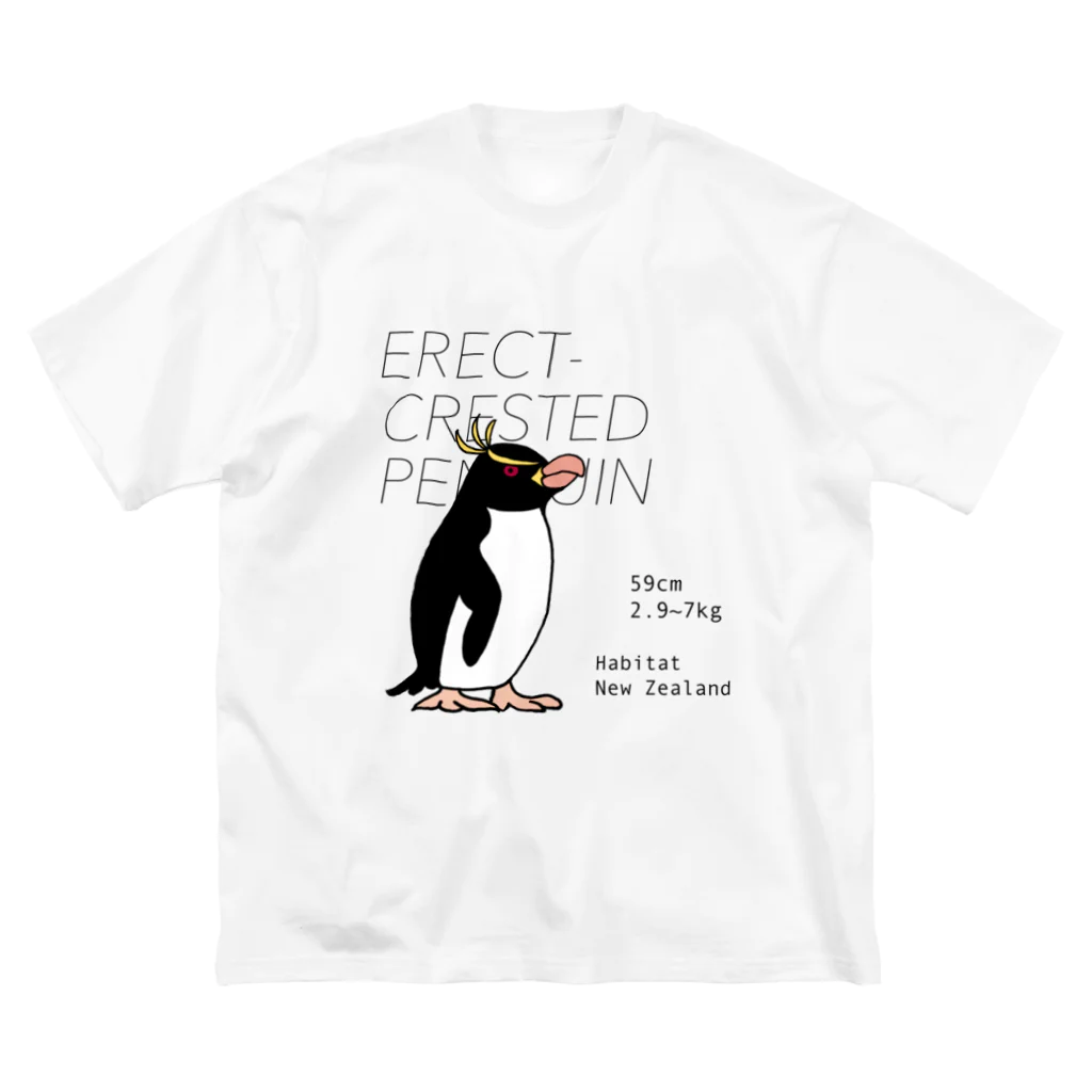 空とぶペンギン舎のマユダチペンギン ビッグシルエットTシャツ