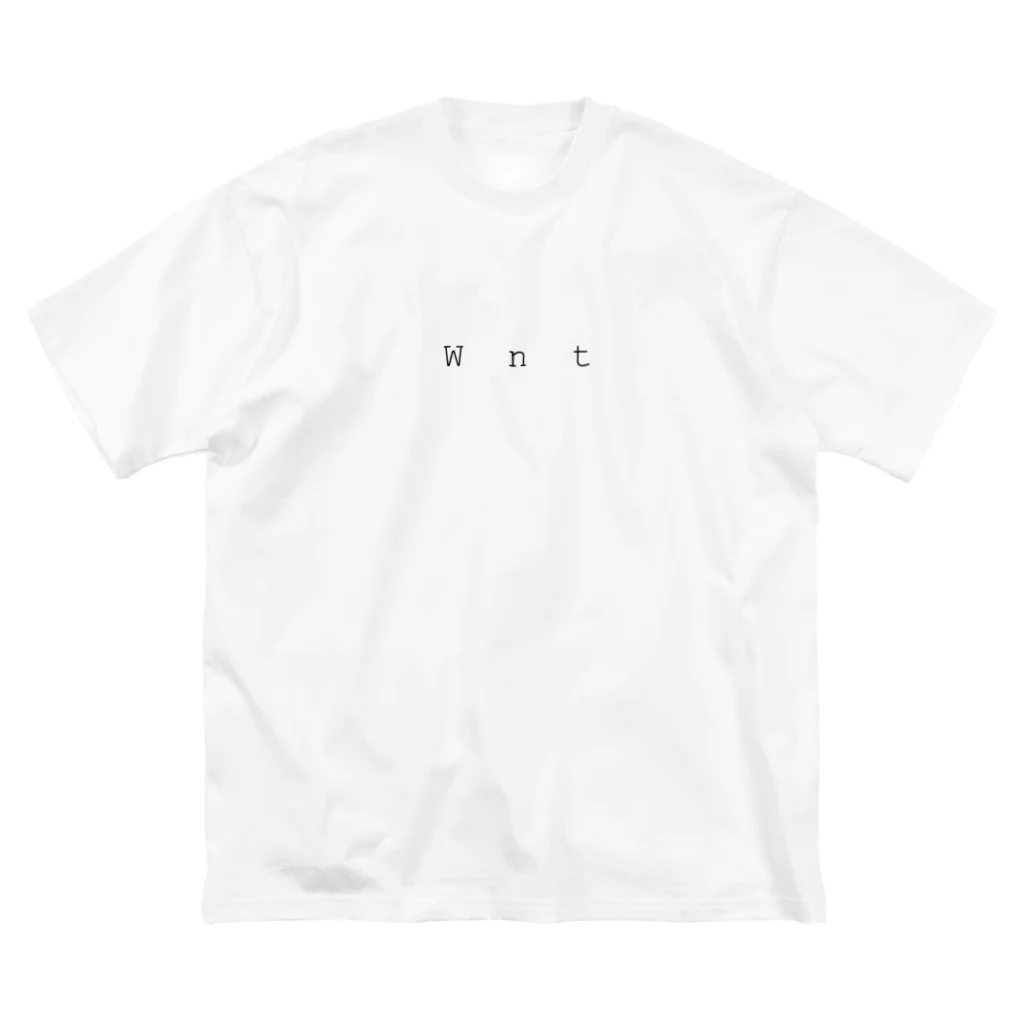 Wntの堕天 ビッグシルエットTシャツ