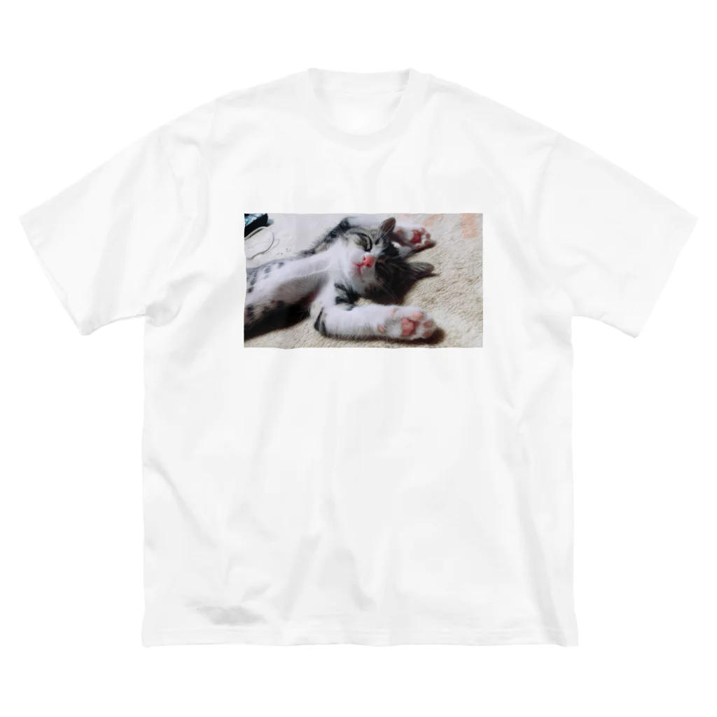 猫日和の猫日和 ビッグシルエットTシャツ