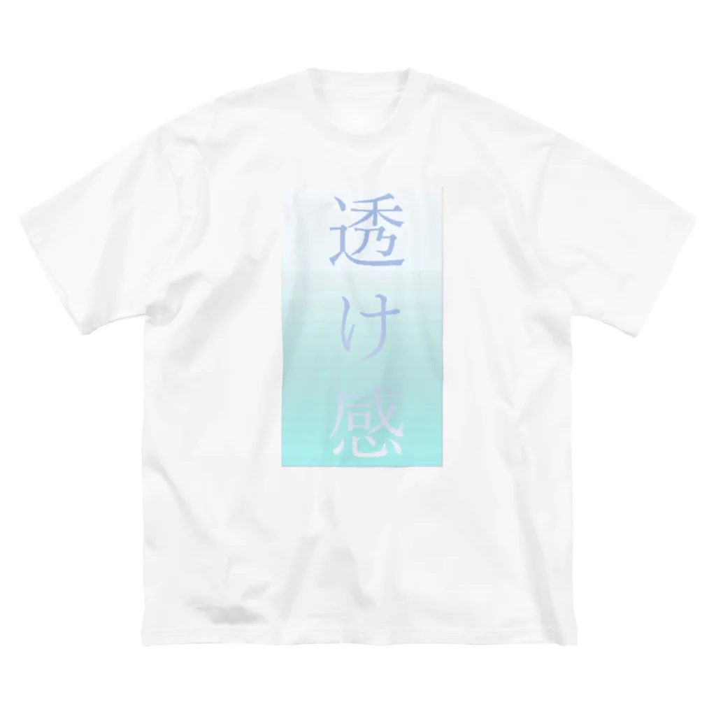 Handou_iruka-1の透け感　シリーズ ビッグシルエットTシャツ