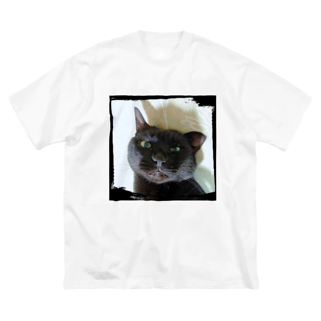 nkmap17の猫～やっぱりイカミミ舞茸 ビッグシルエットTシャツ