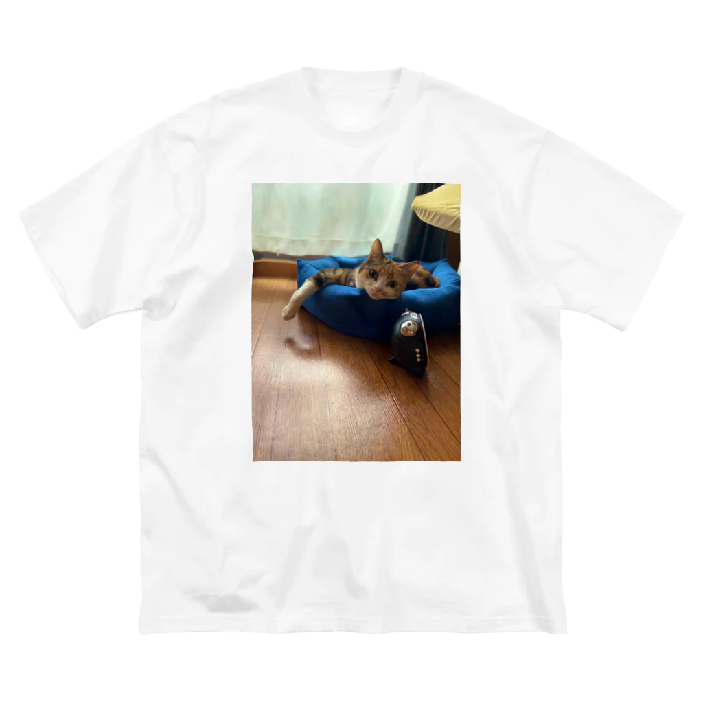 足長三毛猫マンチカンのたまのたまｧｧｧｧｧ Big T-Shirt
