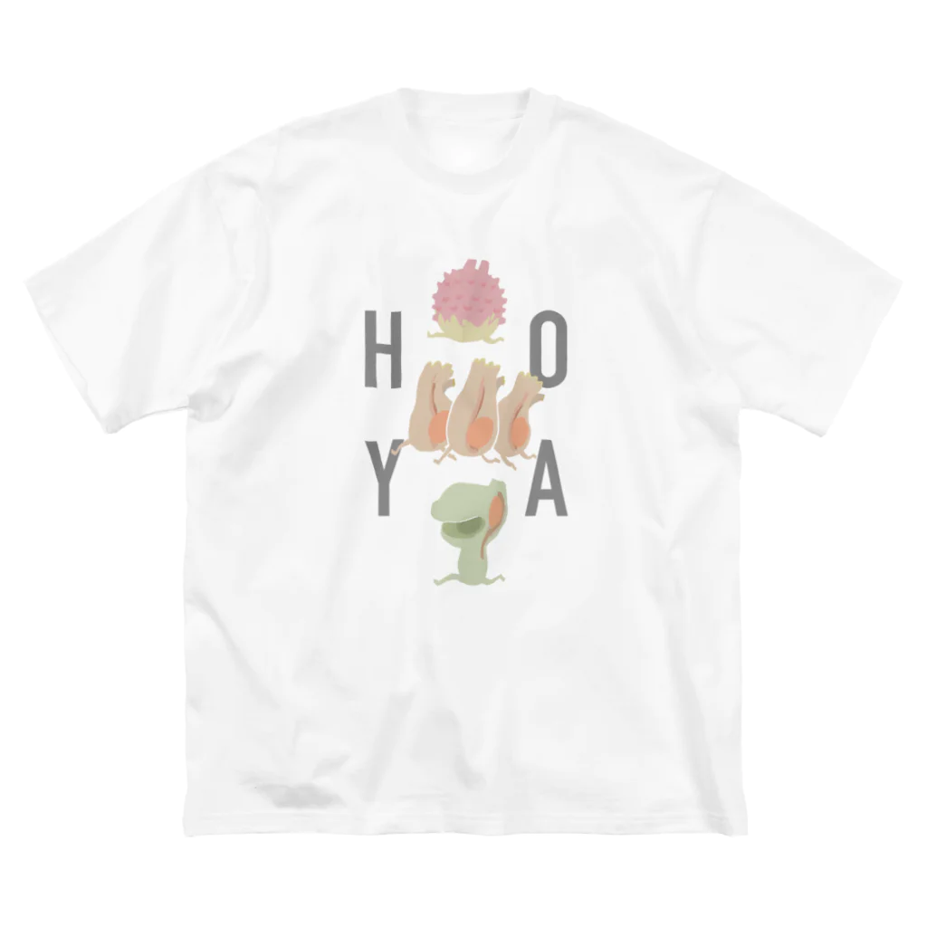 がらくた堂@suzuriのホヤT～HOYA～ Big T-Shirt