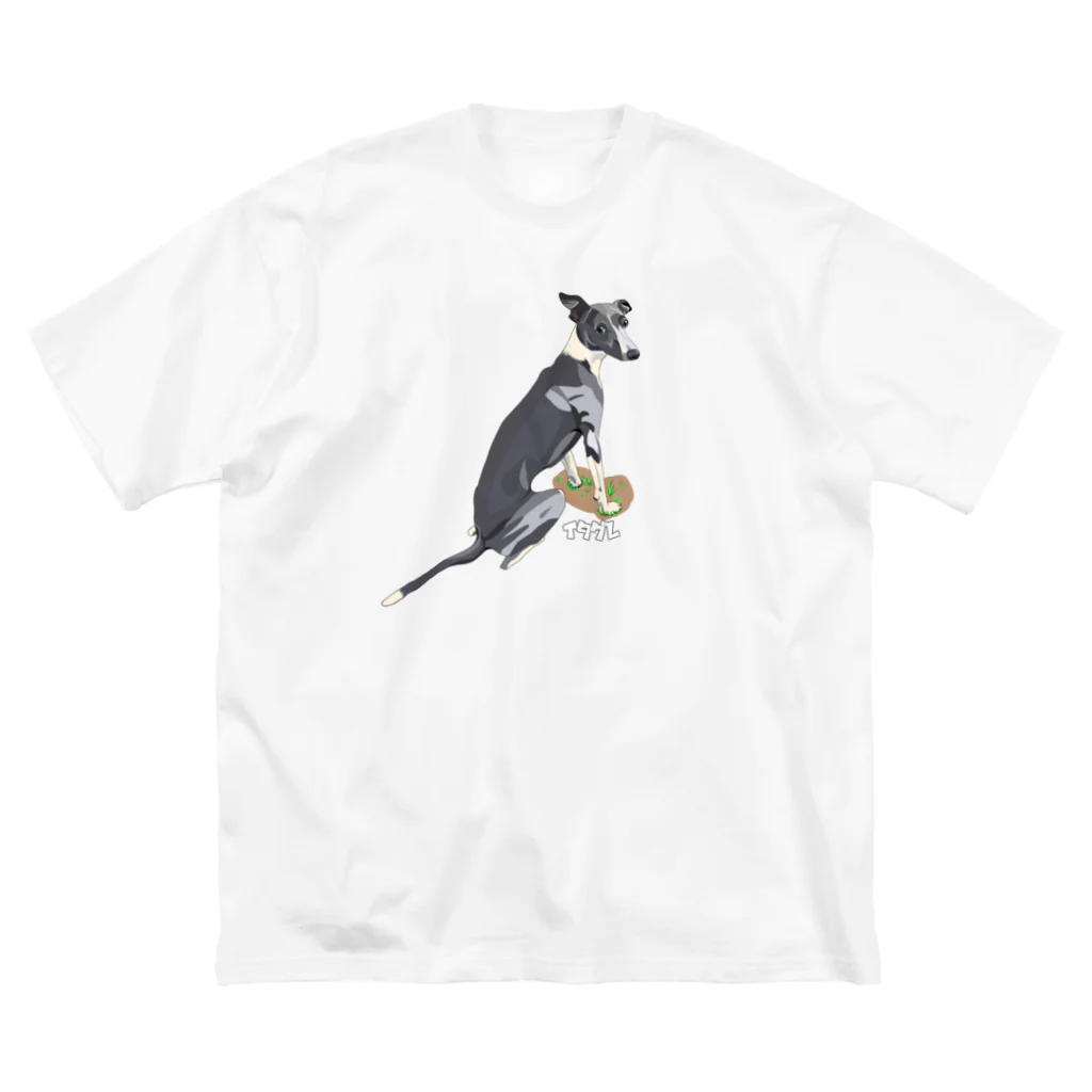 ハデ犬グッズ部門のイタグレ ビッグシルエットTシャツ