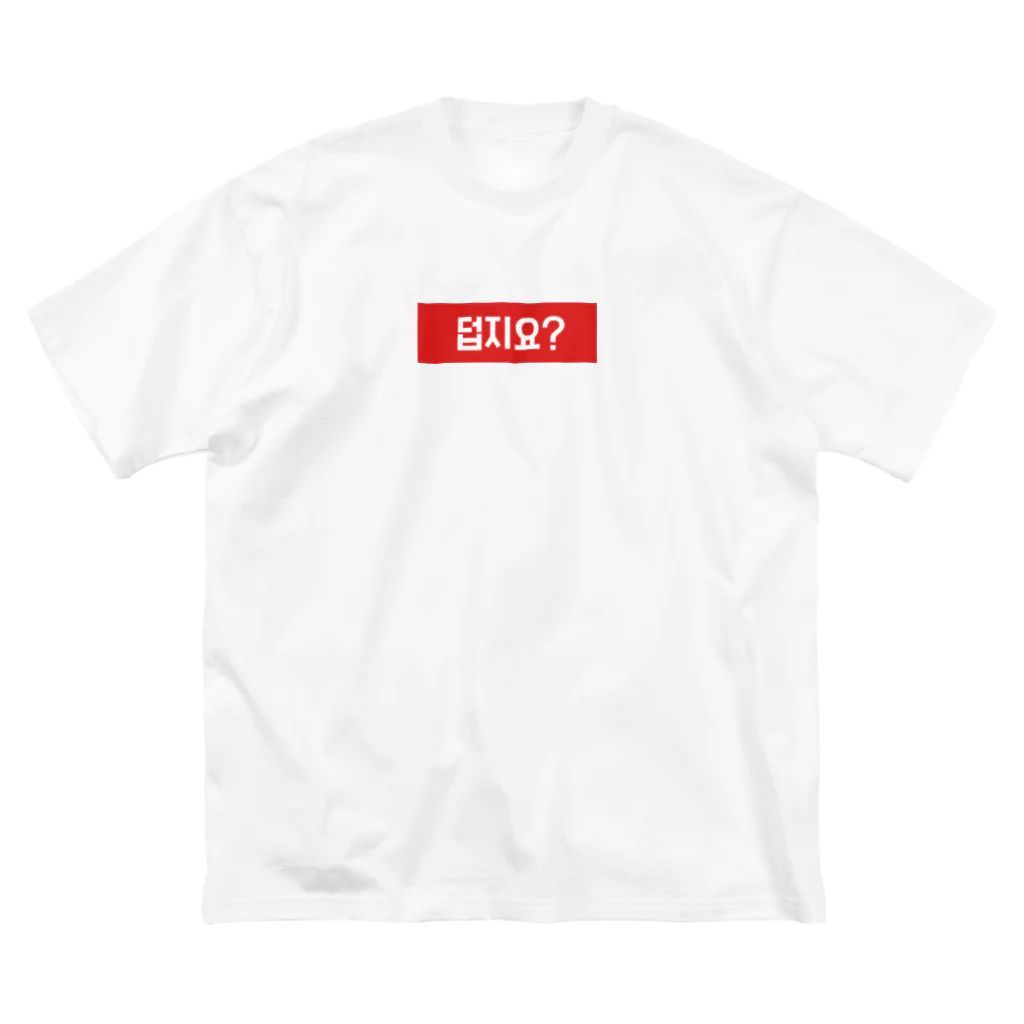 fly bowのトップジヨ？ハングルＴシャツ Big T-Shirt