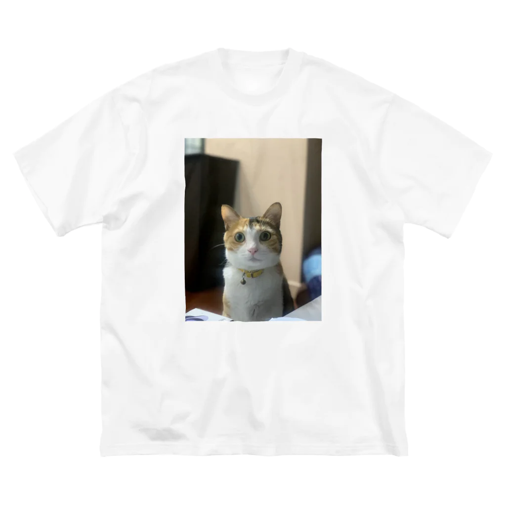 monekosideの保護猫まくらちゃん！ ビッグシルエットTシャツ