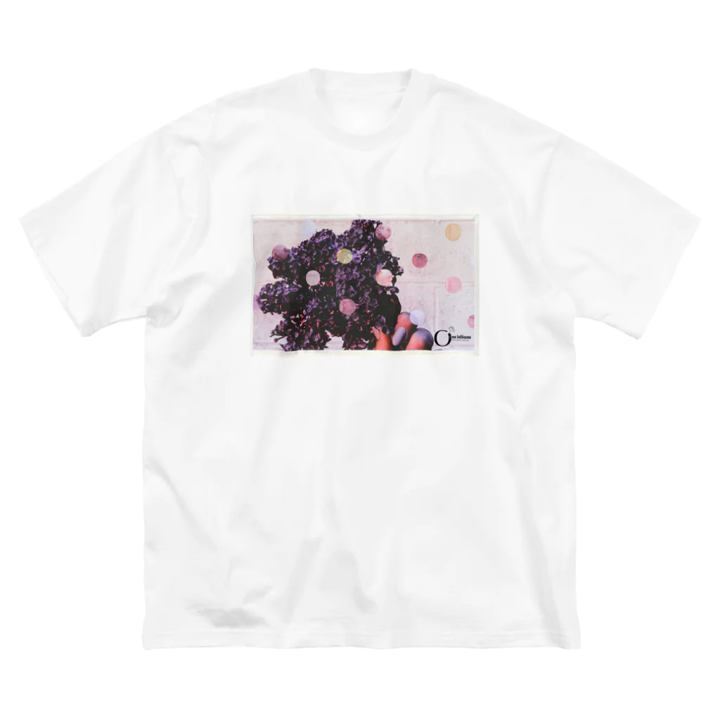 Oncidium  by minamisenaのドット ビッグシルエットTシャツ