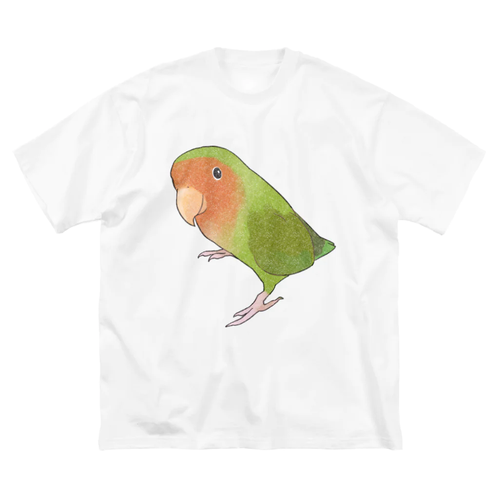 まめるりはことりの見つめるコザクラインコちゃん【まめるりはことり】 ビッグシルエットTシャツ