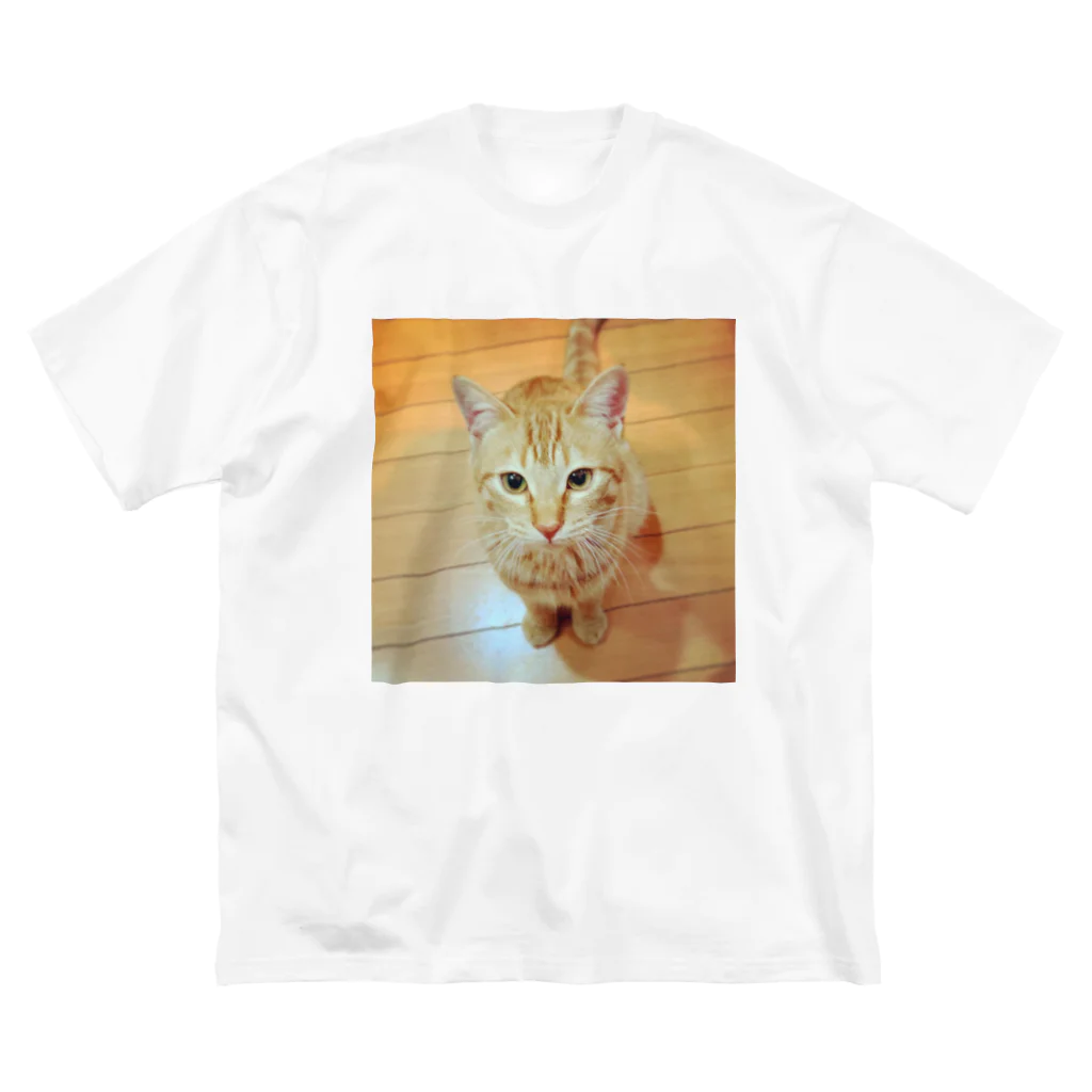 kimired51の茶色いハッピーな猫のチャッピー Big T-Shirt