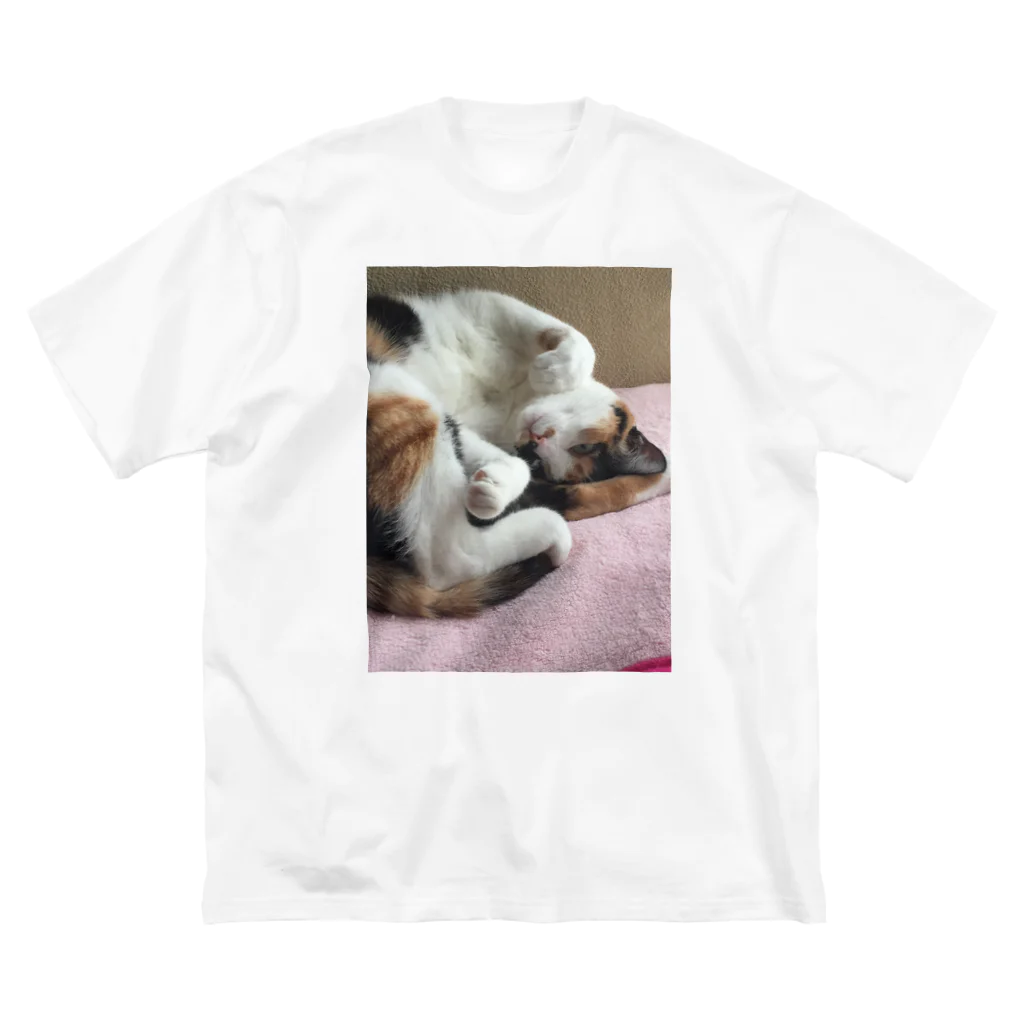 モモさんショップの愛猫モモ Big T-Shirt