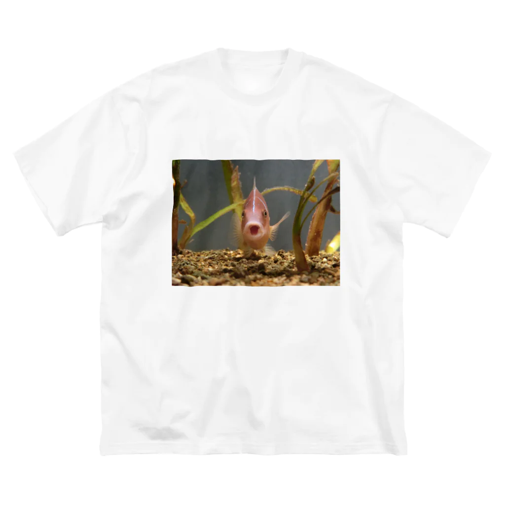 雑魚雑魚パーリナイのえっ Big T-Shirt