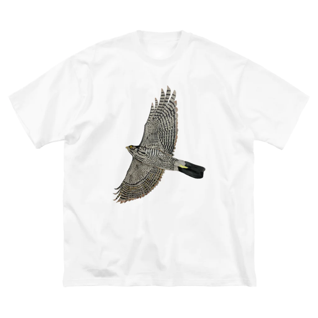 Coshi-Mild-Wildの🪶猛禽類　ツミ　🦅 だぞっ‼️ ビッグシルエットTシャツ