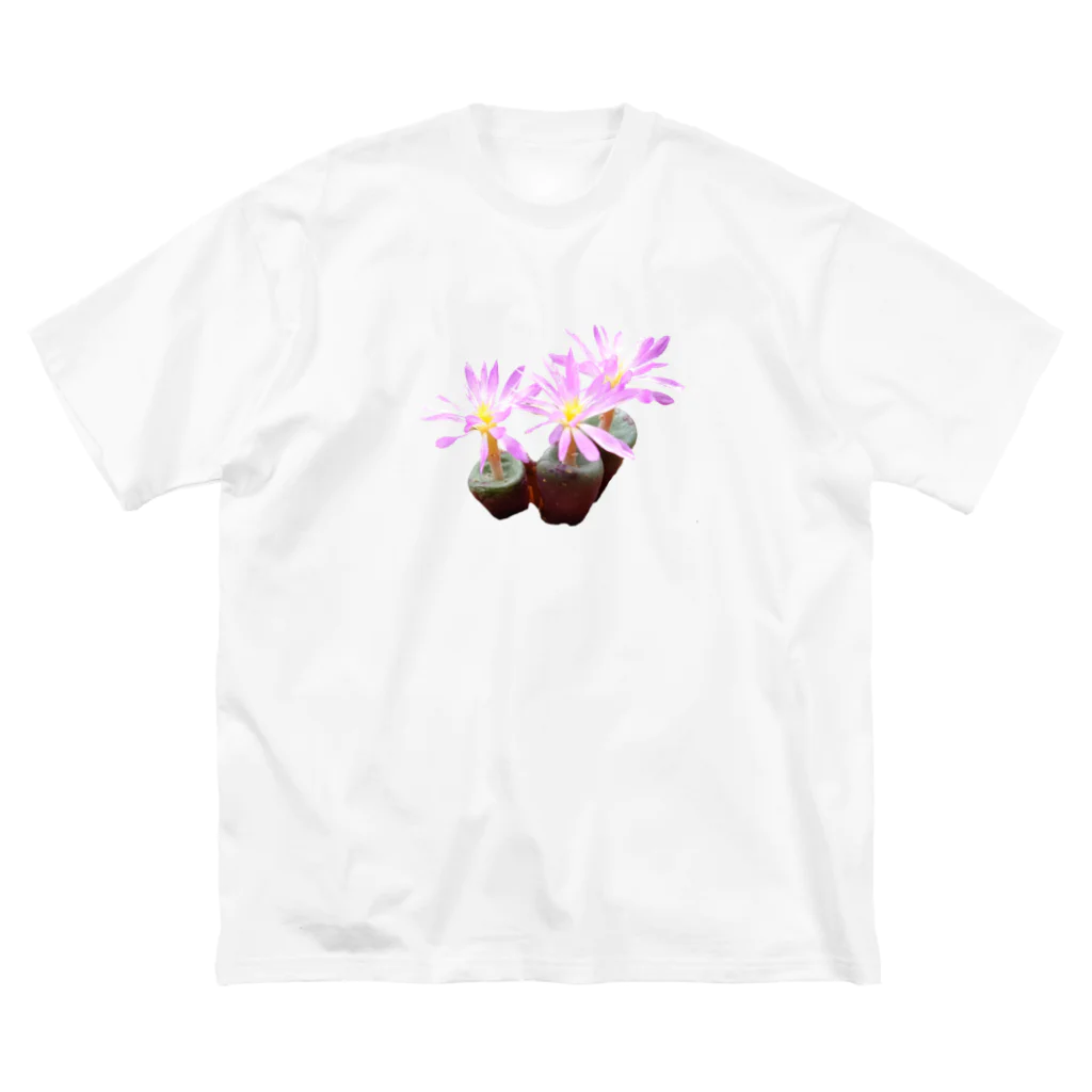 POJO  CACTUSの可憐な花 コノフィツム バリエンス 多肉植物 Big T-Shirt