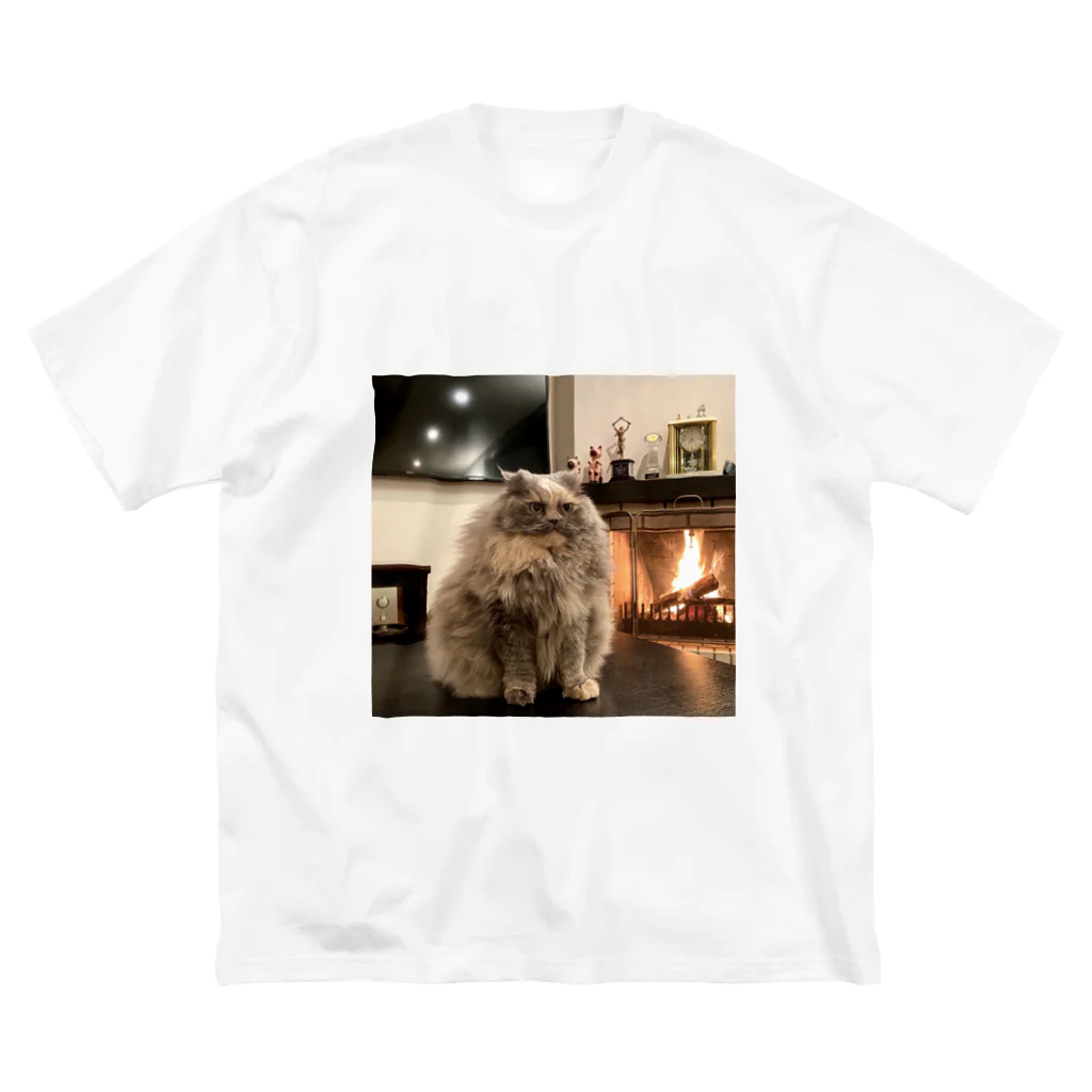 Persian LucyのThe energy! Big T-Shirt