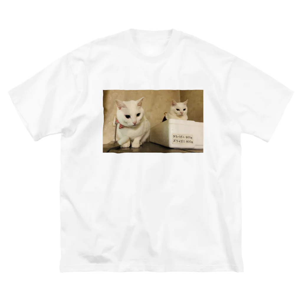 道端の白猫とカニ ビッグシルエットTシャツ