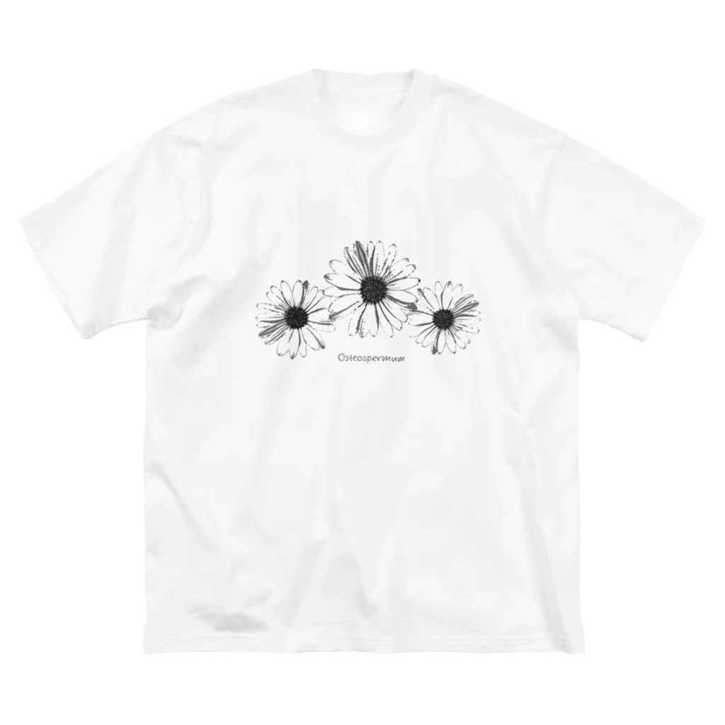 LePuyのオステオスペルマム Osteospermum ガーデン Big T-Shirt