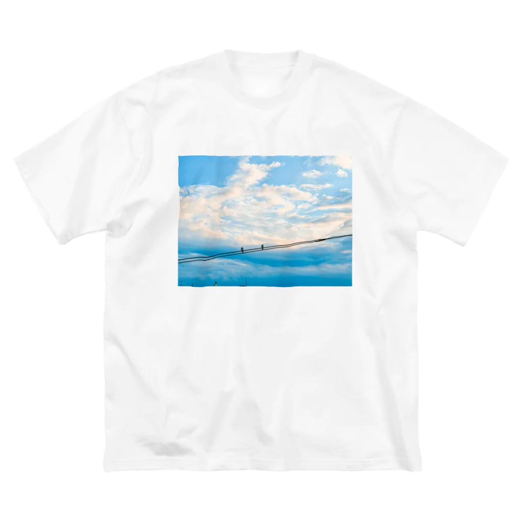 shirado_kazukiの2羽の鳥と電線 ビッグシルエットTシャツ