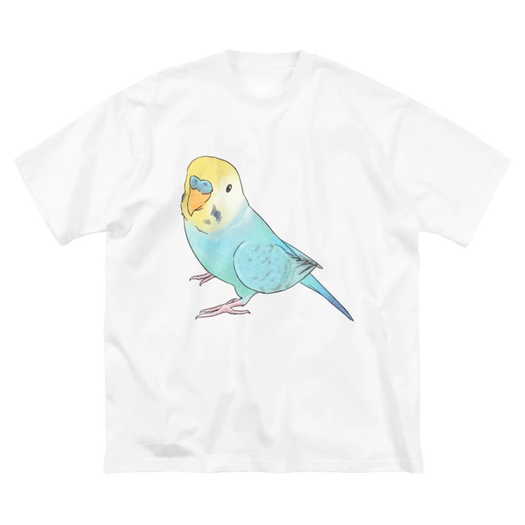 まめるりはことりの見上げるセキセイインコちゃん【まめるりはことり】 ビッグシルエットTシャツ