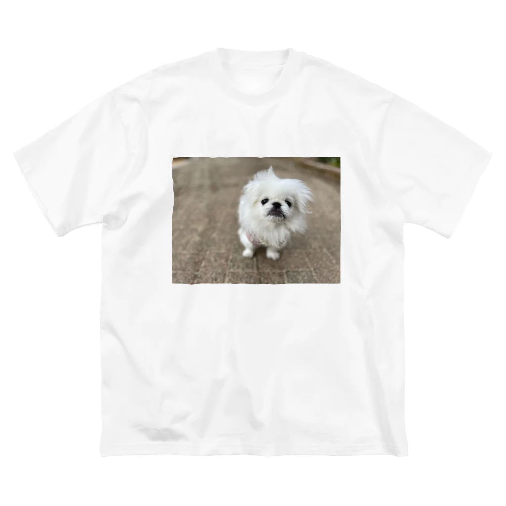 いぬいぬいぬのたんたん北風ロマンス ビッグシルエットTシャツ