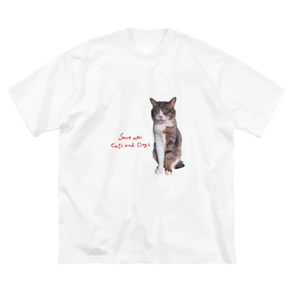 犬猫生活チャリティーショップのまったりボス by コンドリア水戸さん Big T-Shirt