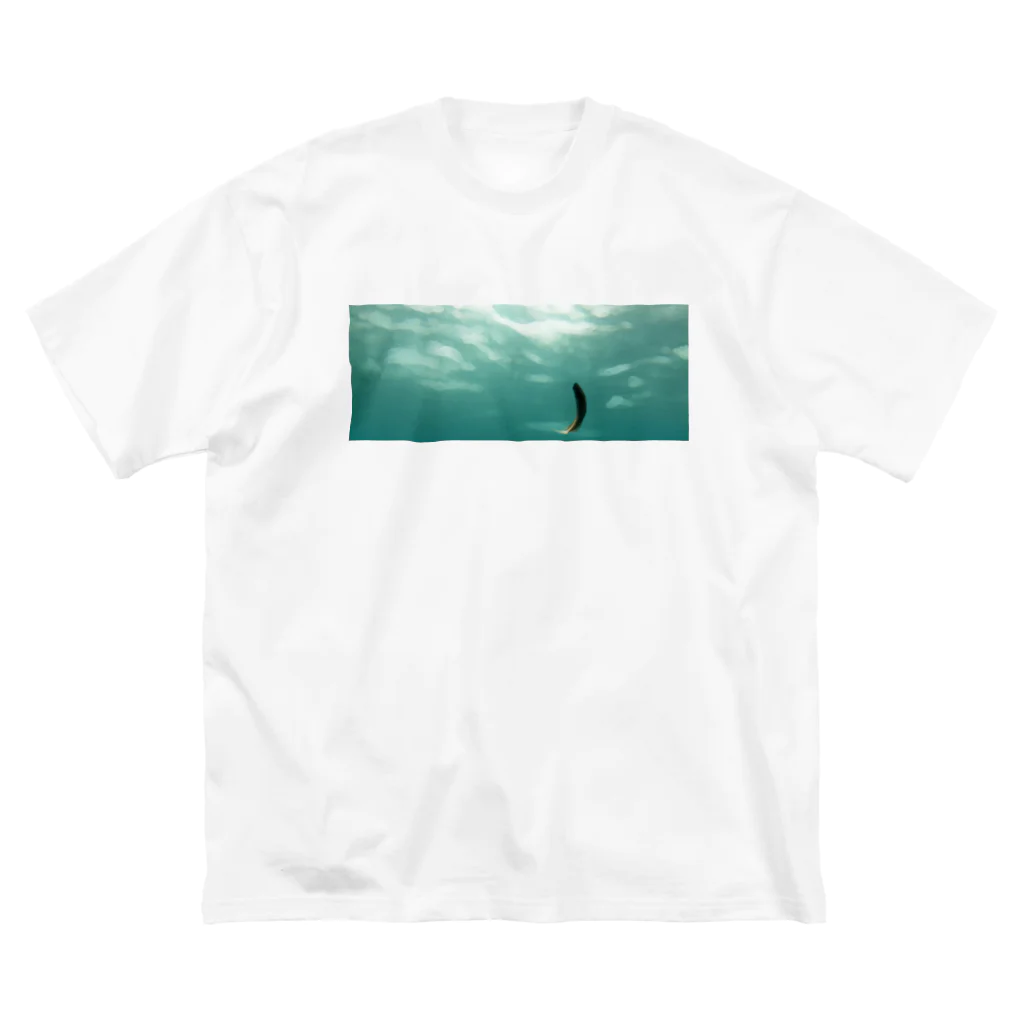 じぇん屋の魚 ビッグシルエットTシャツ